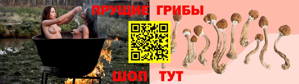 Галлюциногенные грибы Psilocybe Воркута